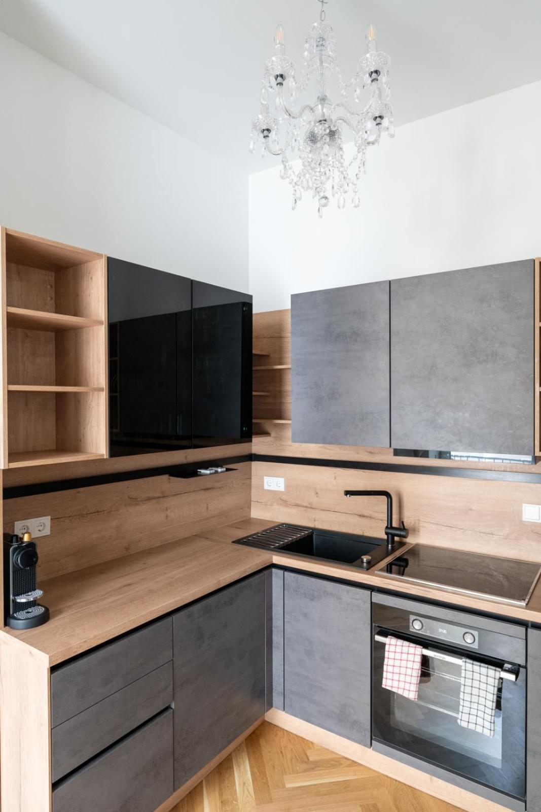 Luxurious Viennese Old Style Apartment