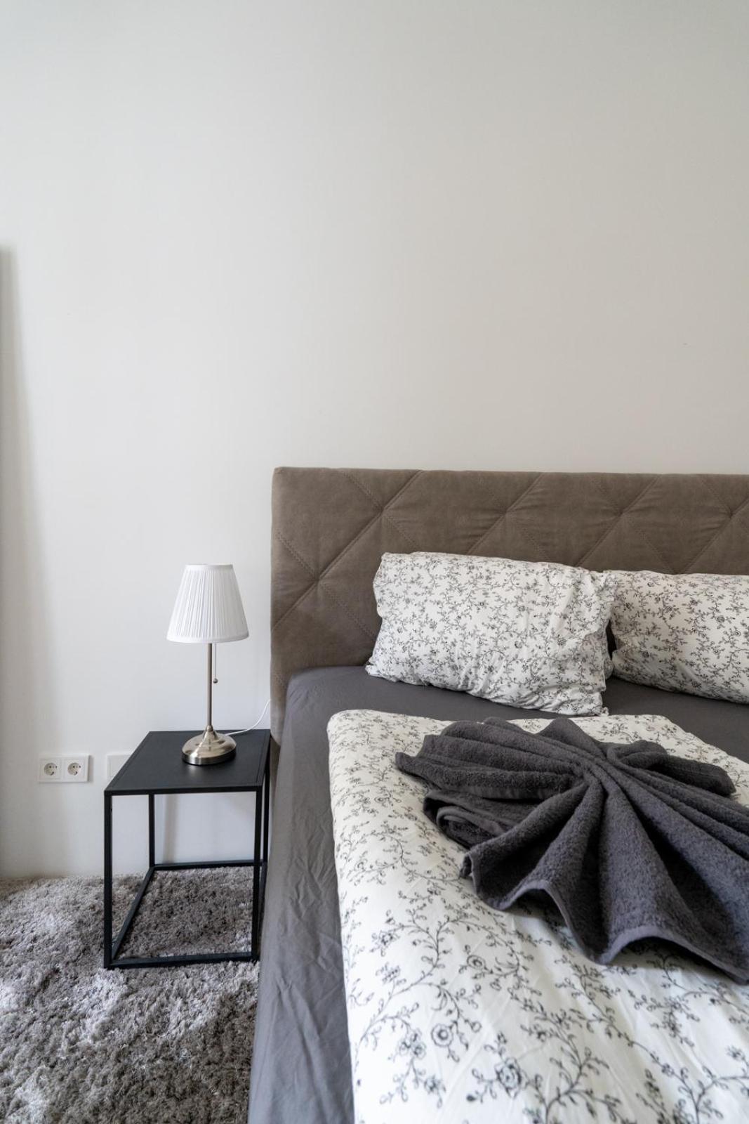 Luxurious Viennese Old Style Apartment Wien